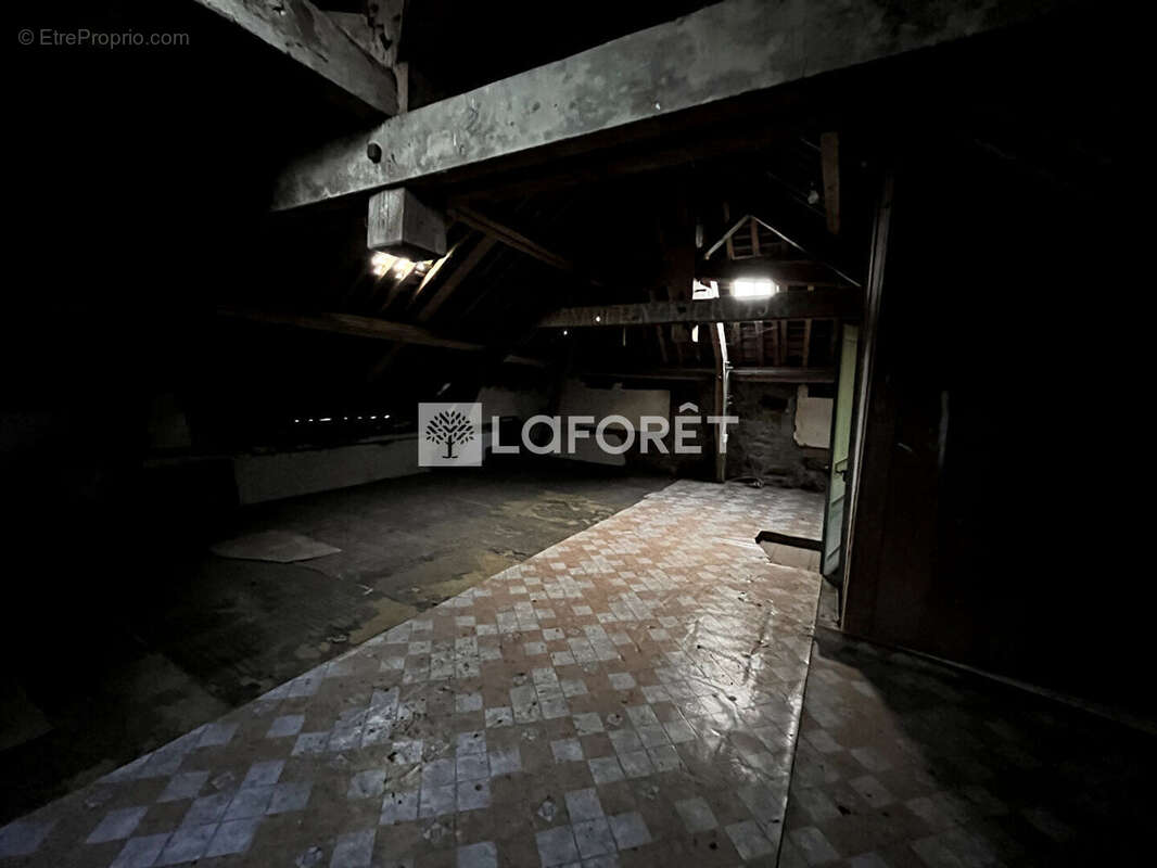 Maison à SAINT-ANDRE-DE-MESSEI