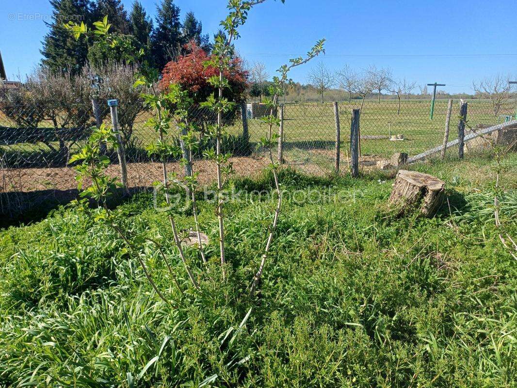 Terrain à THURE