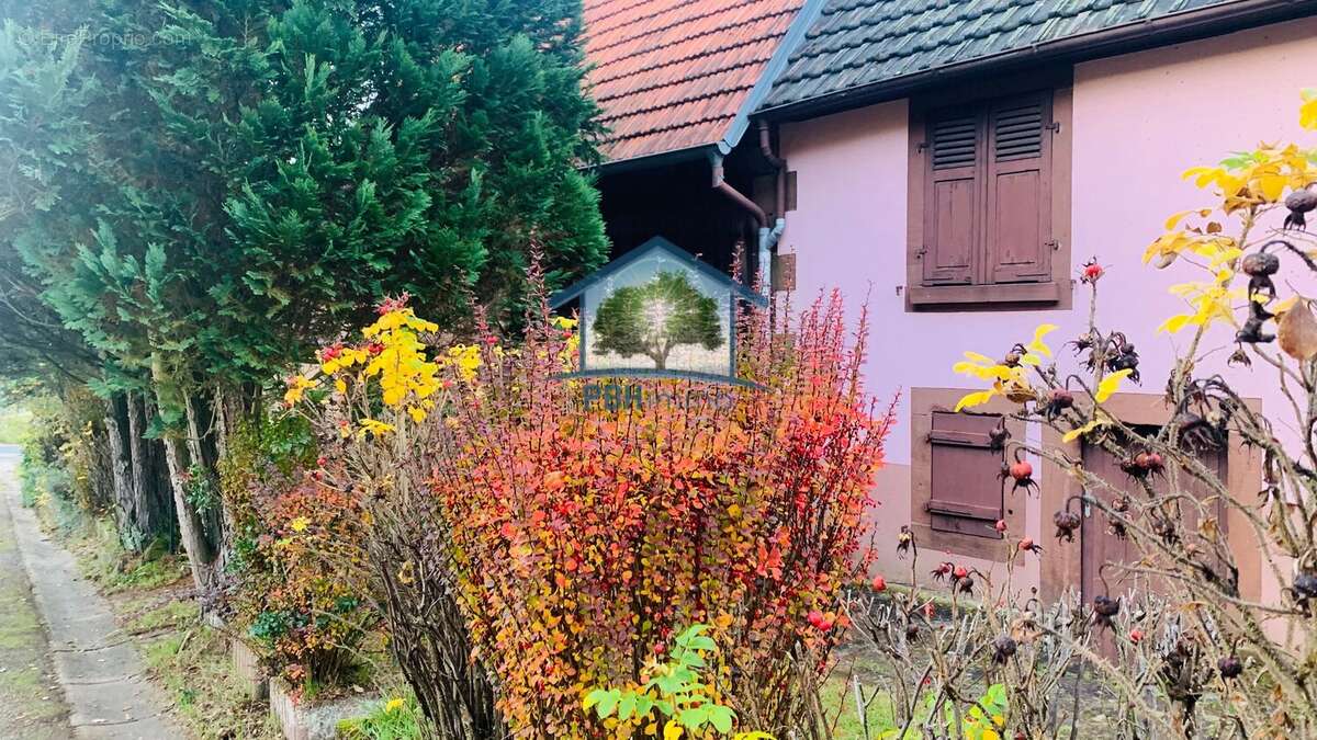 Maison à LICHTENBERG