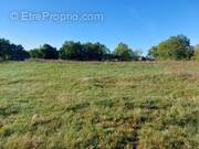 Terrain à FONTCOUVERTE