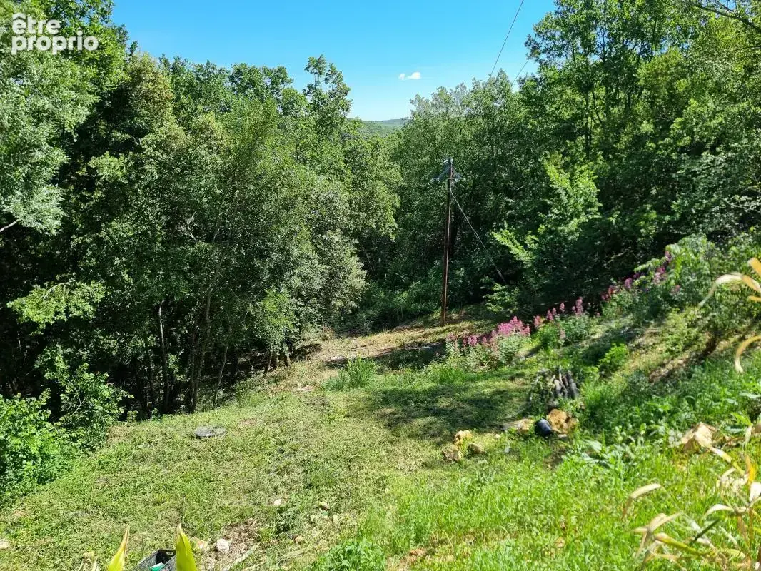 Propriété Unique en Cévennes : Chalet en Fustes, Dépendance & 2,7 Hectares de Nature - photo 5