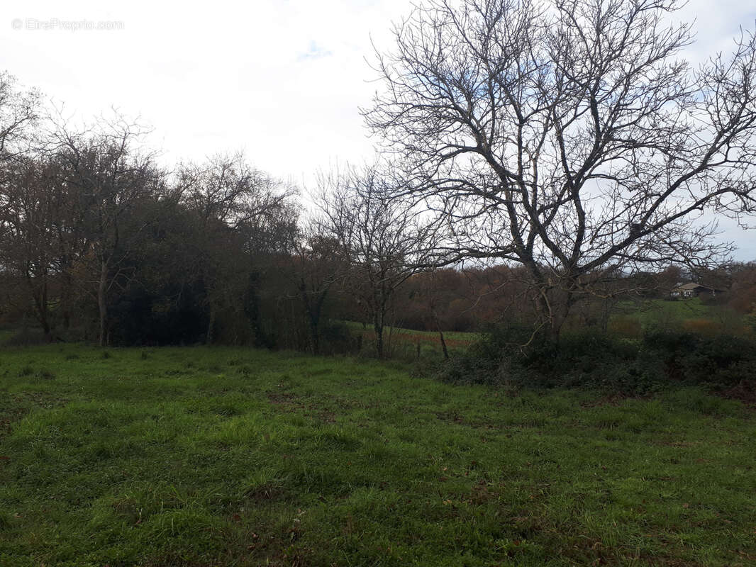 Maison à AVAILLES-LIMOUZINE