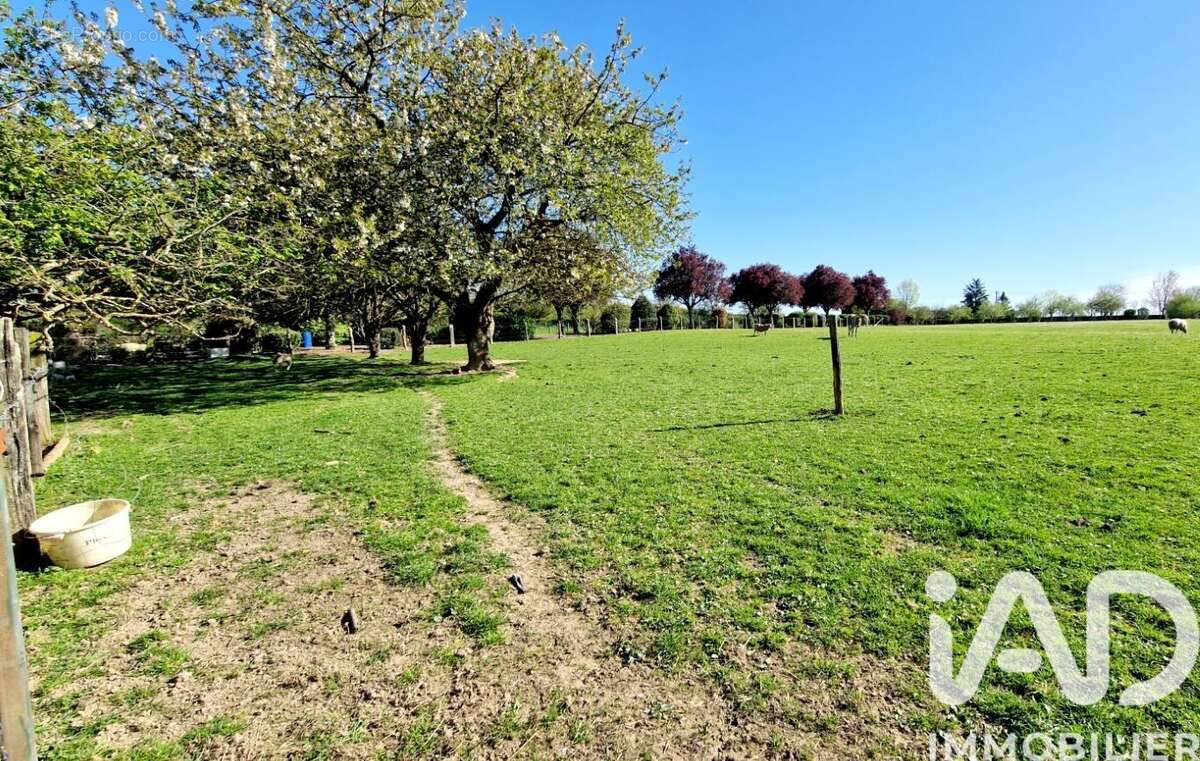 Photo 5 - Maison à BONCHAMP-LES-LAVAL