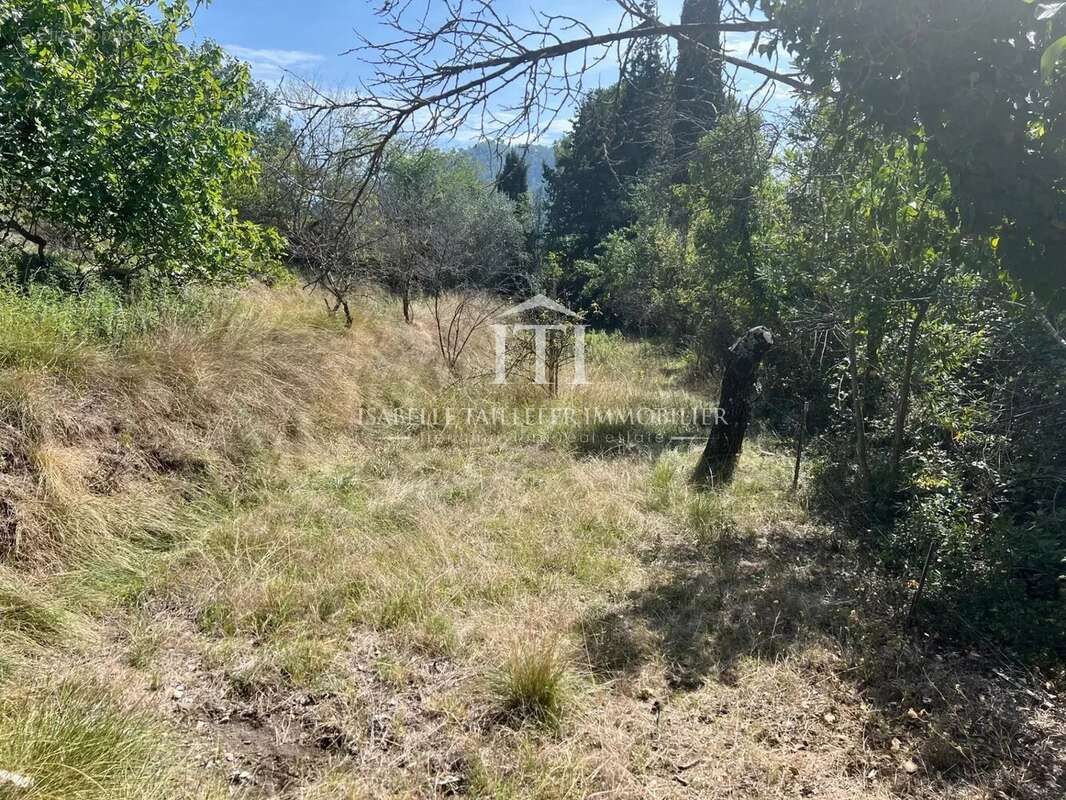 Terrain à L'ESCARENE