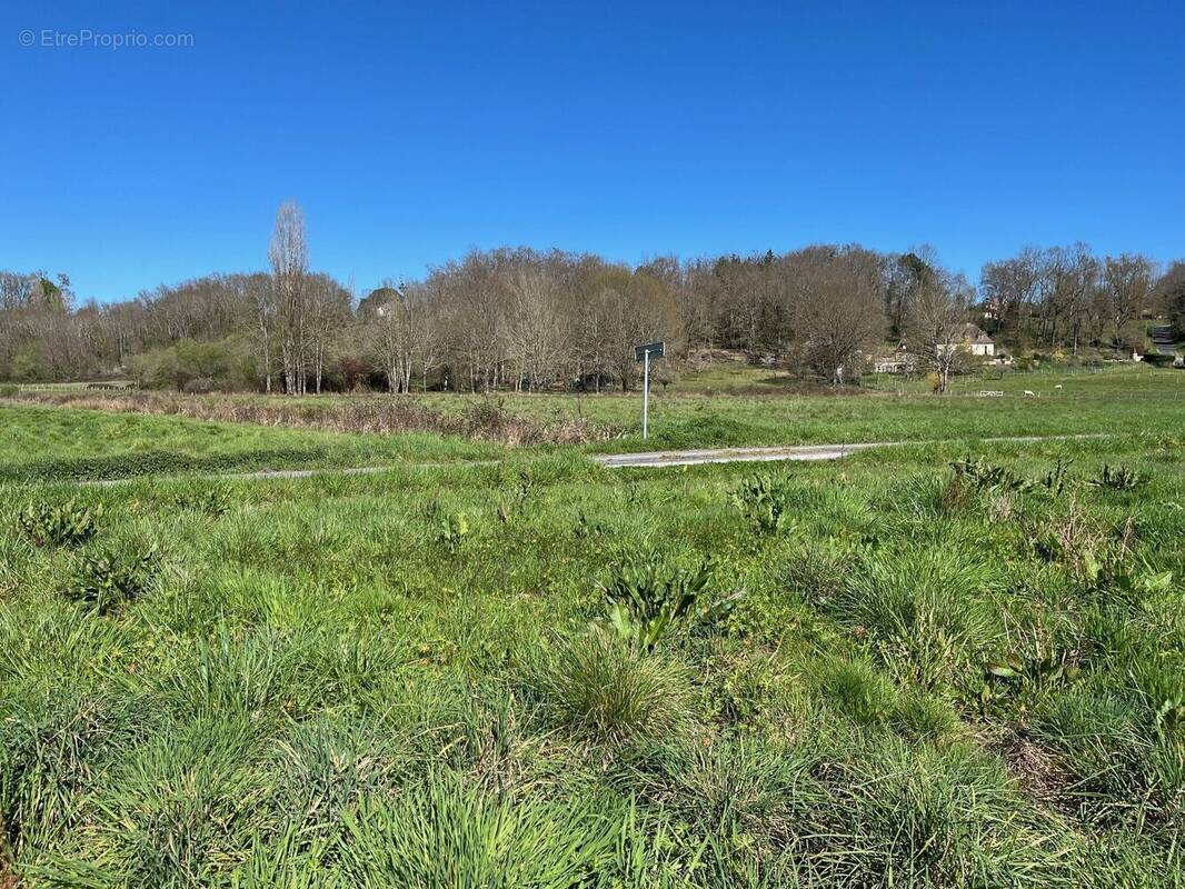 Photo 1 - Terrain à LA FORCE