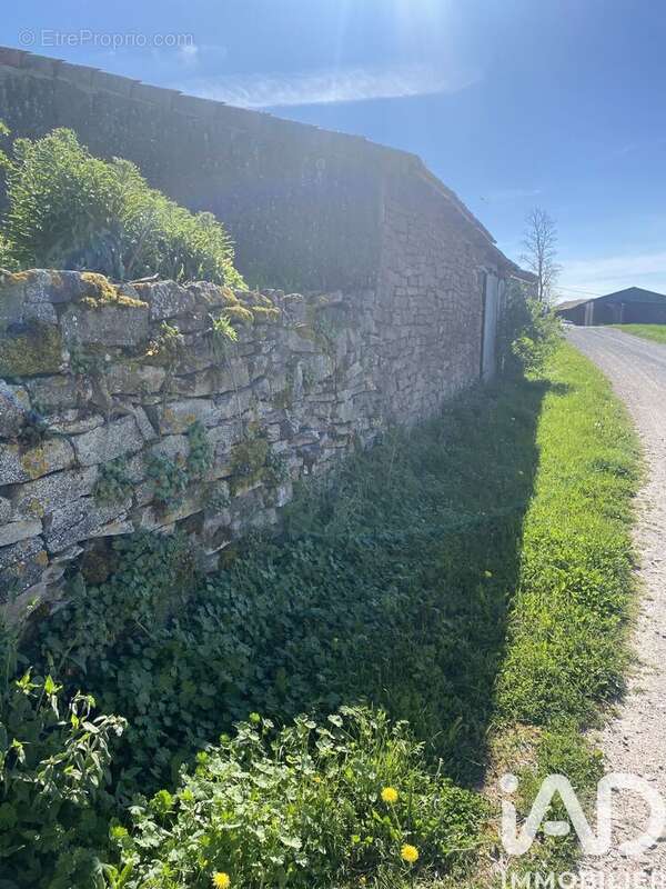 Photo 3 - Terrain à BELMONT-SUR-RANCE