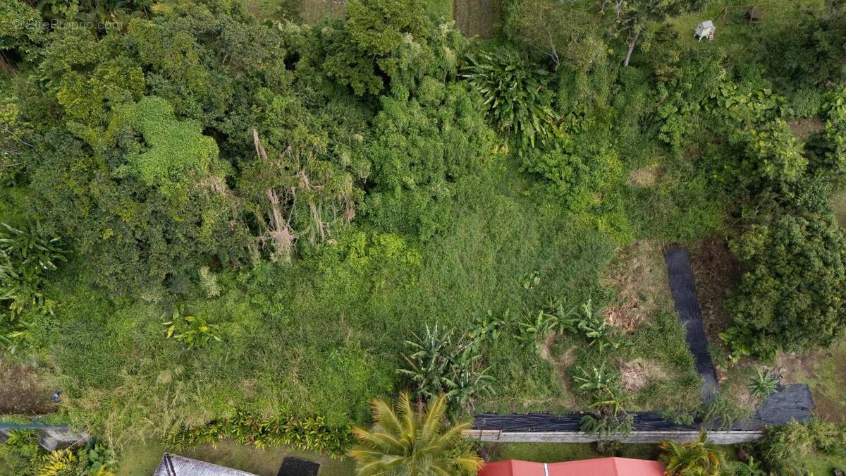 Photo 1 - Terrain à SAINT-CLAUDE