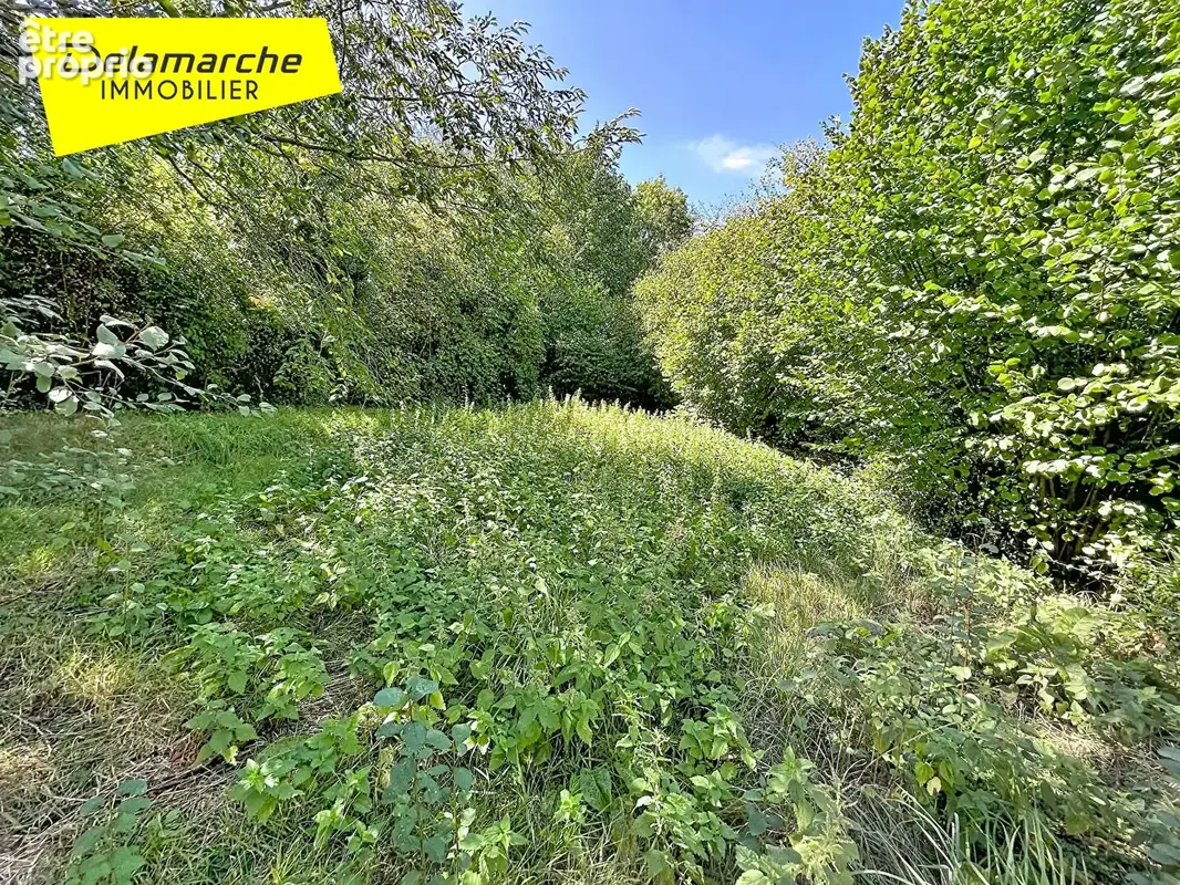 A VENDRE Maison mitoyenne  Montpinchon avec grand terrain - photo 11