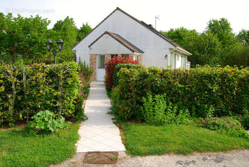 MONTDAUPHIN (77) à vendre ensemble immobilier composé de deux maisons, de 2 bâtiments industriels sur un terrain de  de 2 hectar - photo 27