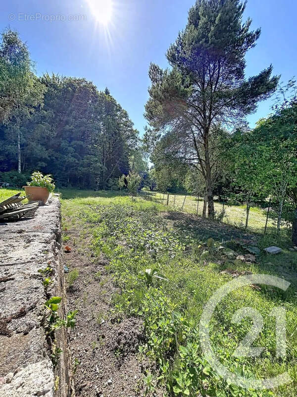 Terrain 1400 m² à Epinal  - photo 4
