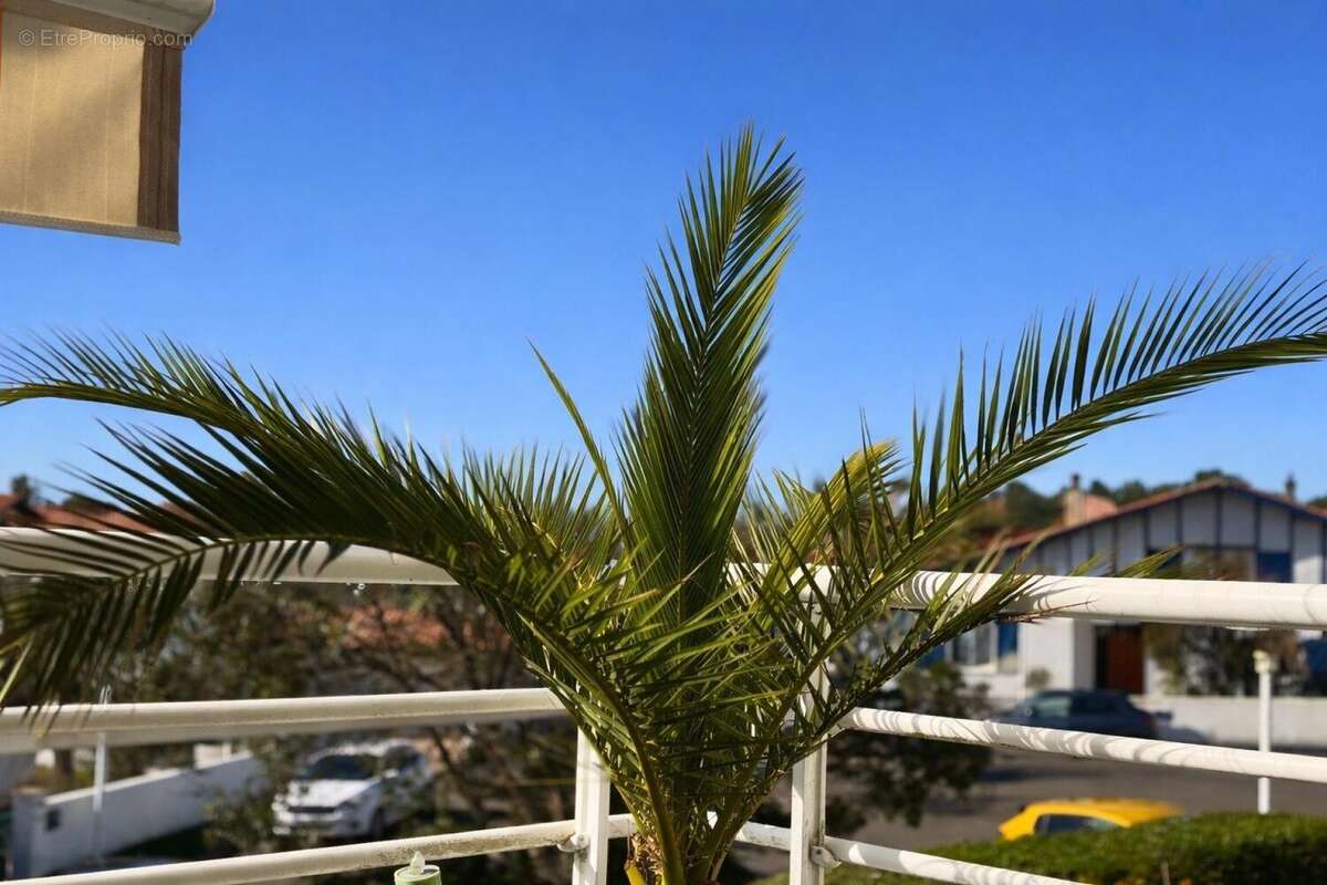 Photo 3 - Appartement à BIDART