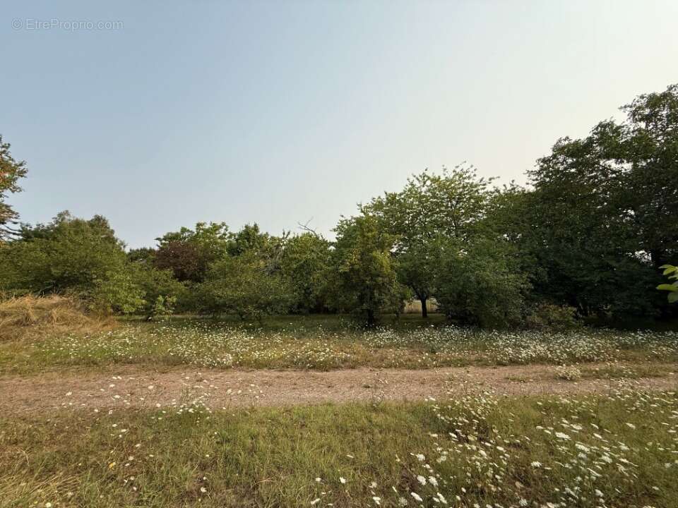Terrain à SORIGNY