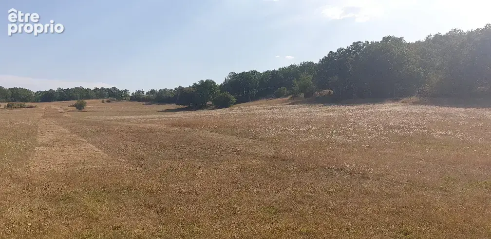 Propriété de grand standing sur 17h de prairie et bois avec plate forme ULM - photo 21