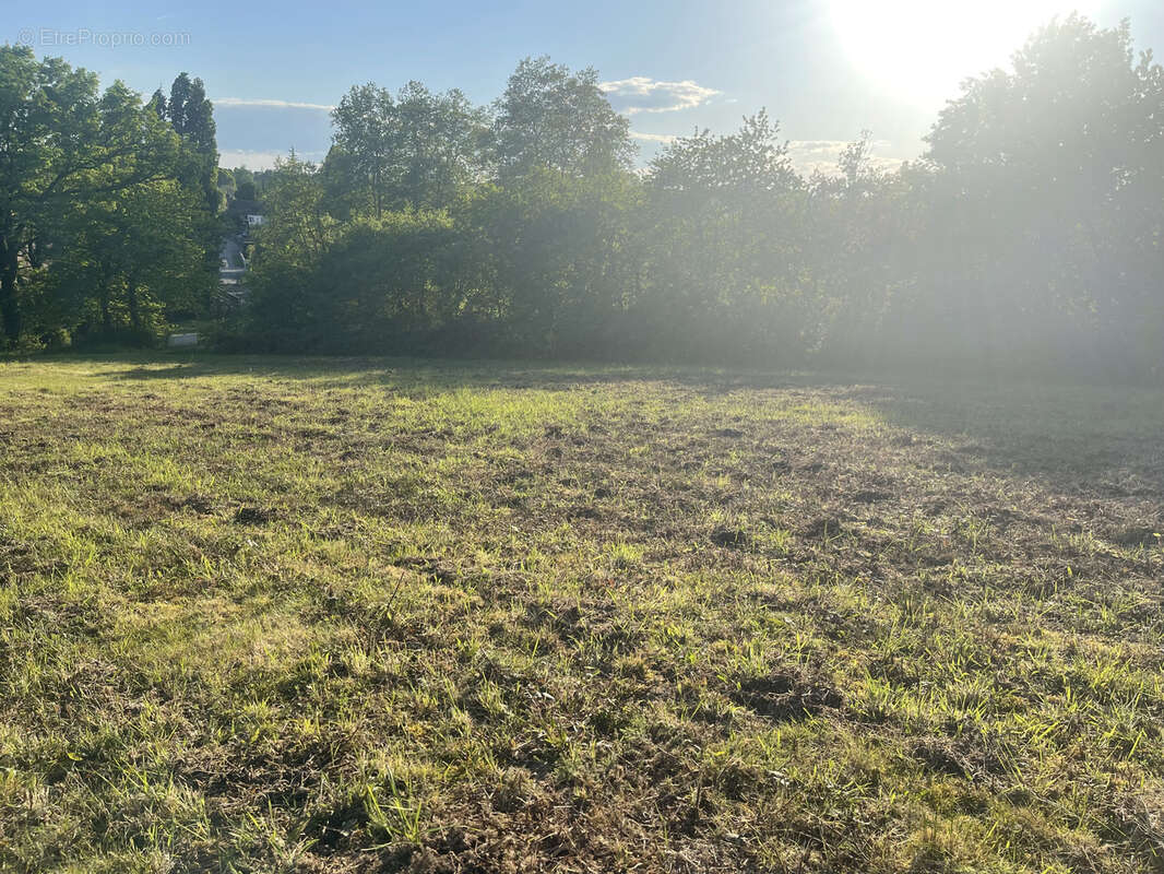 Terrain à ORTHEZ
