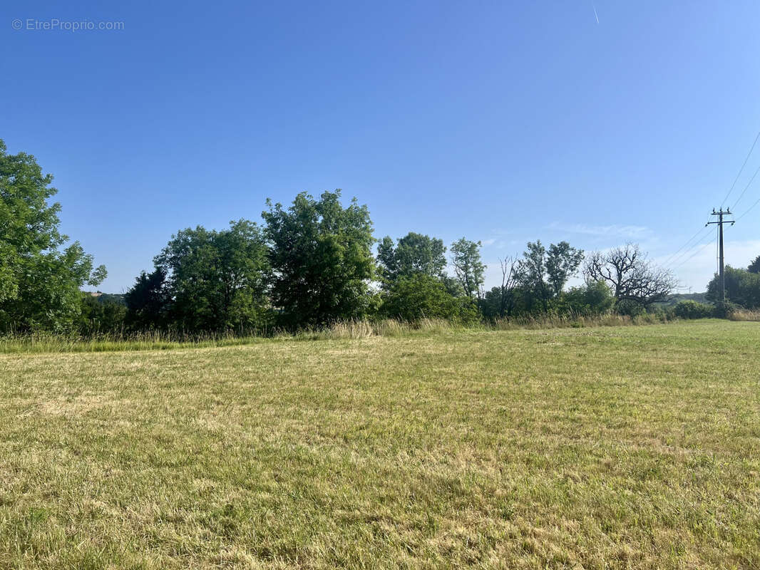 Terrain à CHAVAGNAC