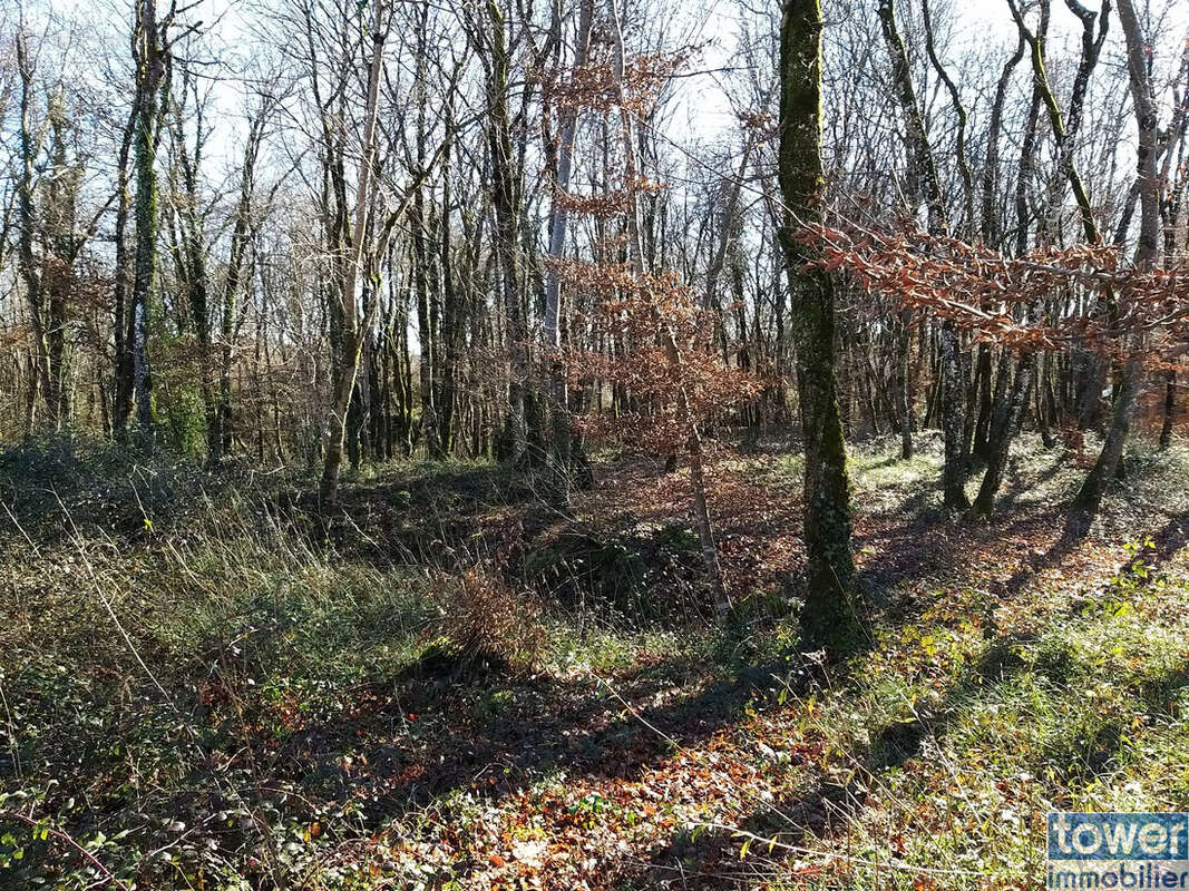 Terrain à PRANZAC
