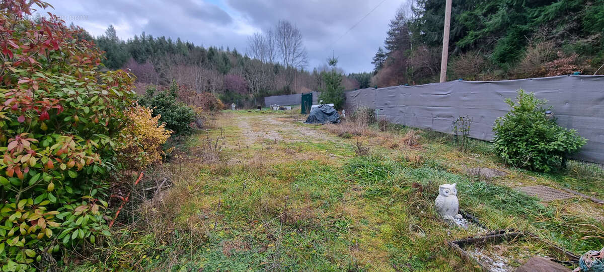 Maison à SAINT-NIZIER-DE-FORNAS