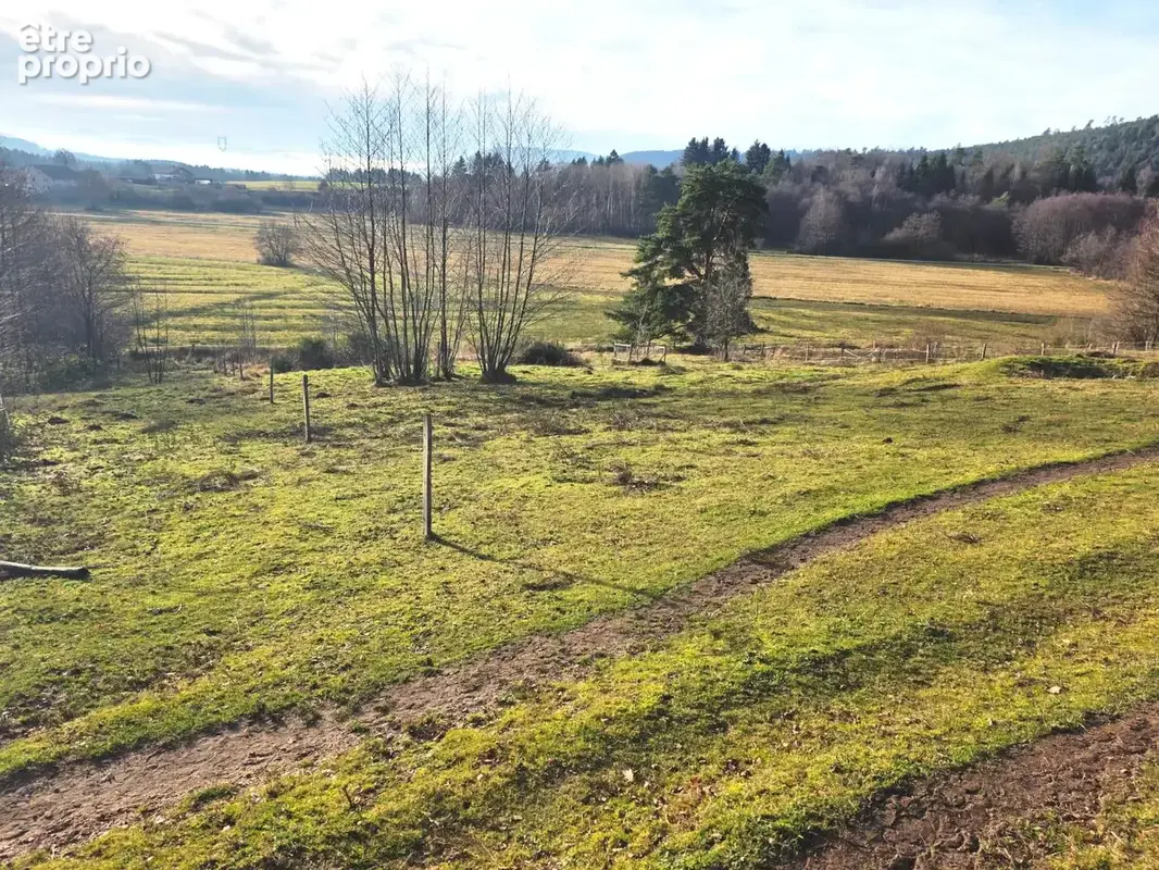 Belle Ferme Vosgienne sur grand terrain au calme - photo 3