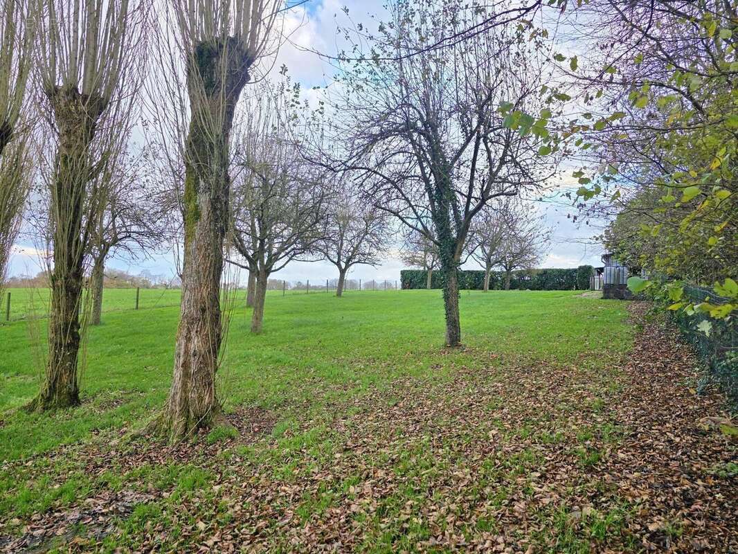 Photo 4 - Maison à GODERVILLE