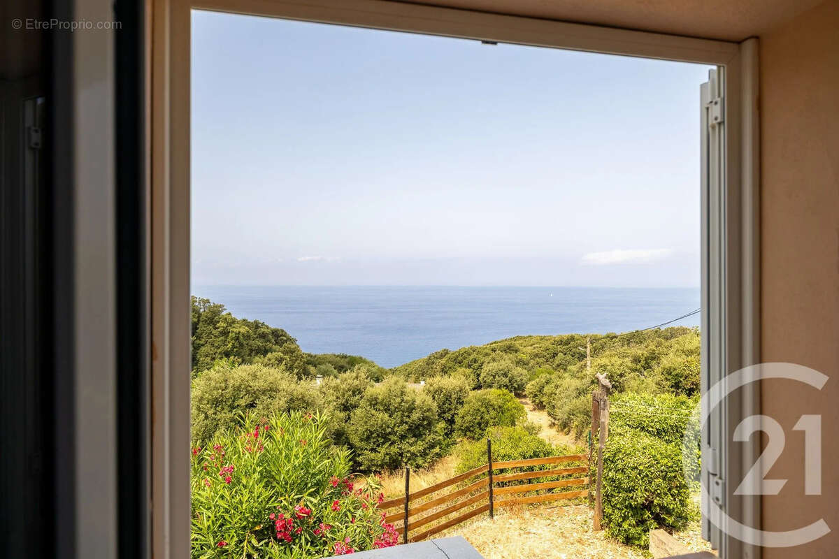 Maison 226 m² à Morsiglia  - photo 9