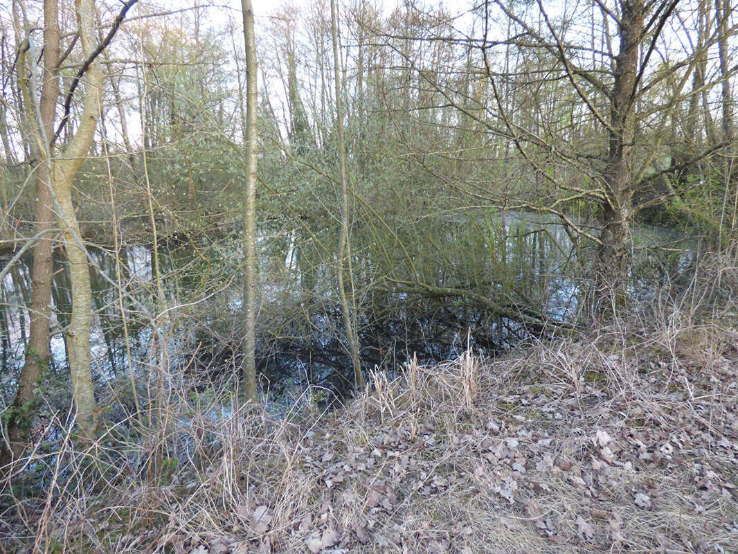 Terrain à SAINT-TRIVIER-DE-COURTES