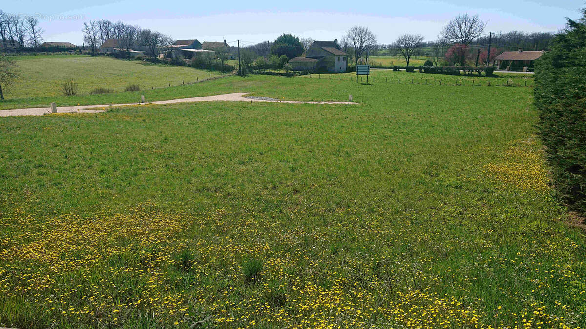 Terrain à SAINTE-CROIX