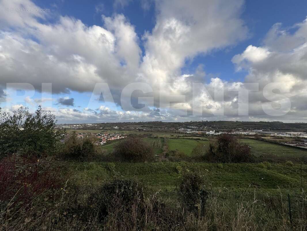 IMG_8896 - Maison à ROUXMESNIL-BOUTEILLES