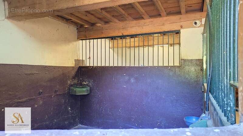 Domaine de caractère de 304 m² sur plus de 60 hectares d’un seul tenant – Entre nature, élégance et art de vivre - photo 22