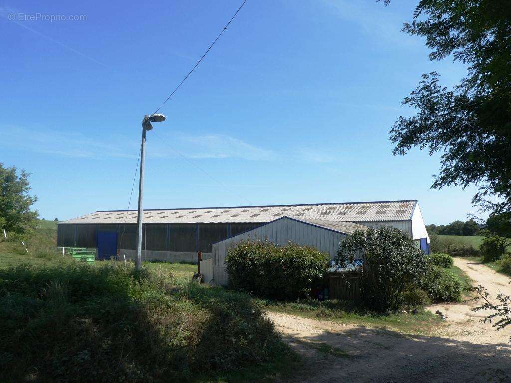 Exploitation agricole - photo 3
