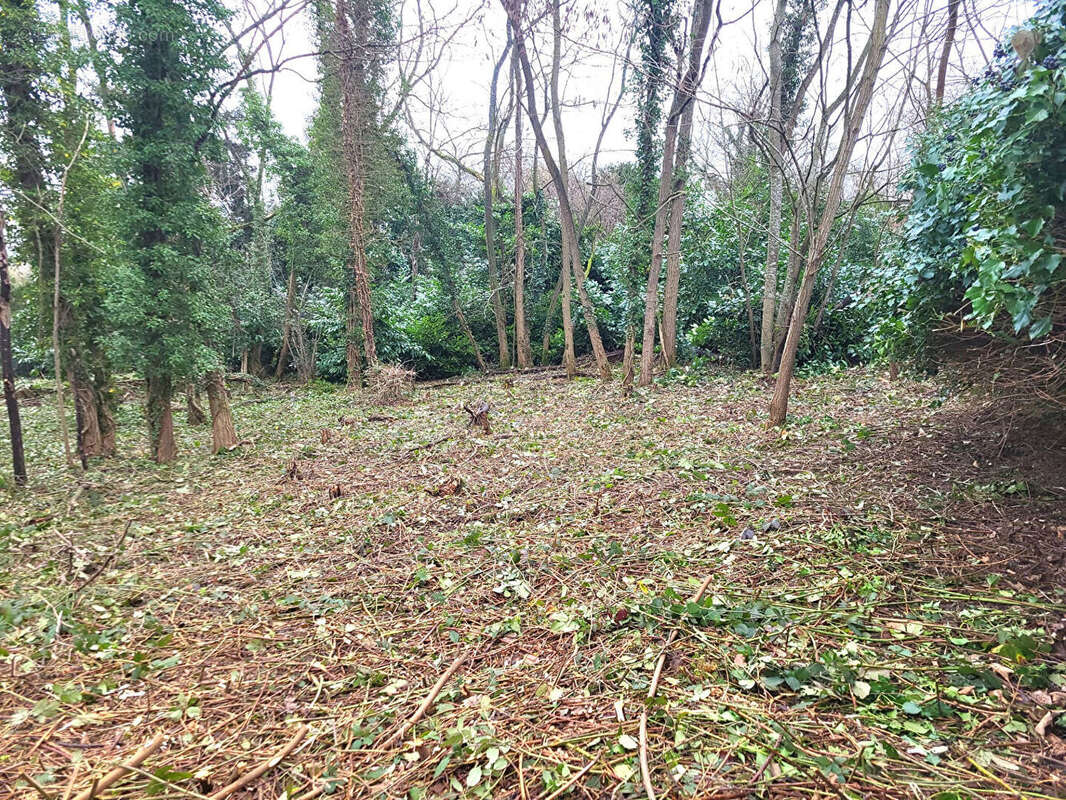 Terrain à SAINT-BRICE-SOUS-FORET