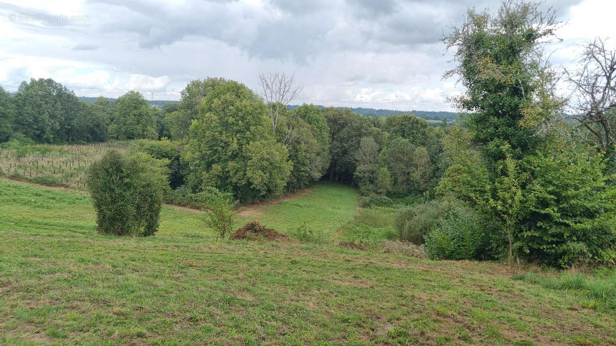 20240905_144326 - Maison à BUSSEROLLES