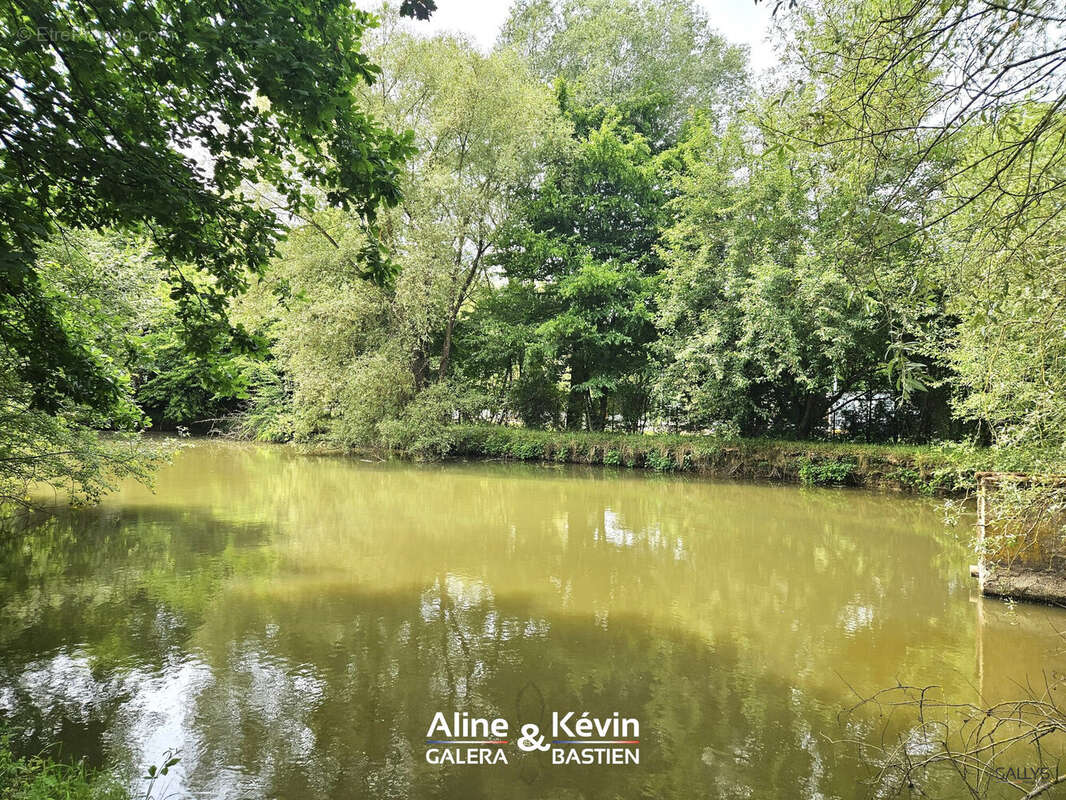 Terrain à GOMELANGE