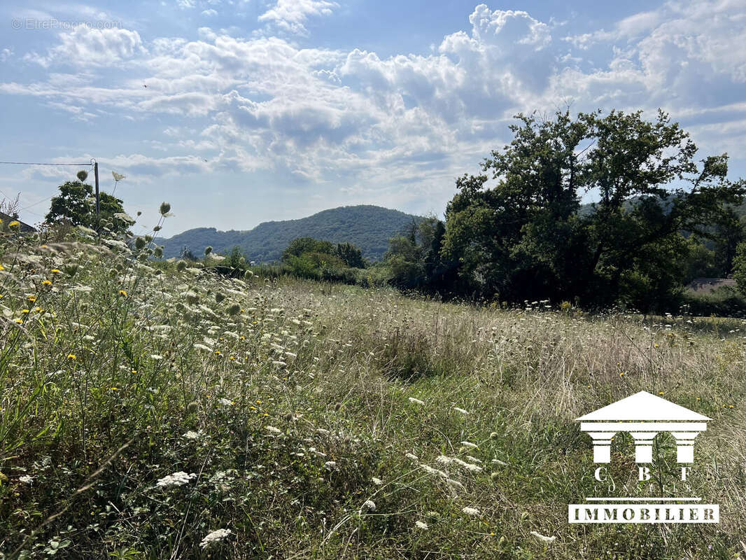 Terrain à SAINT-SERNIN-DU-BOIS