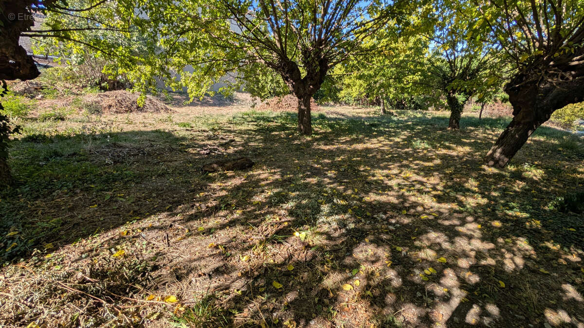 Terrain à CAUSSE-DE-LA-SELLE