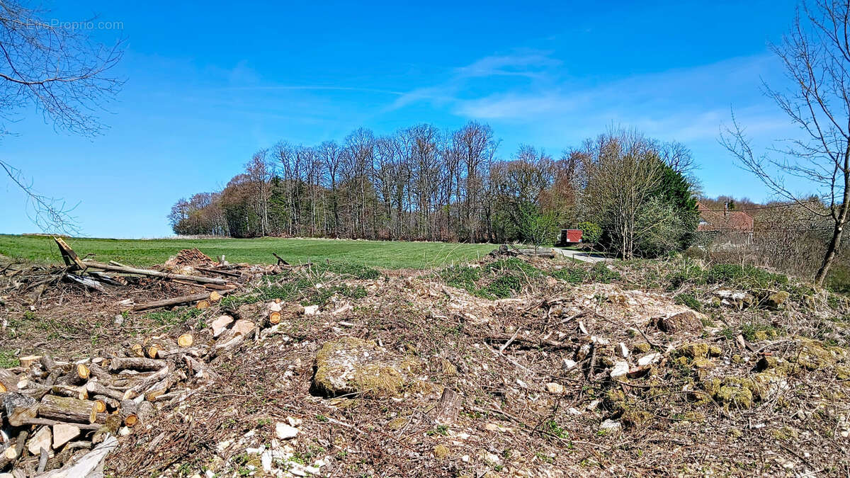 Terrain à COURCELLES