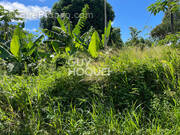 Terrain à SAINT-BENOIT