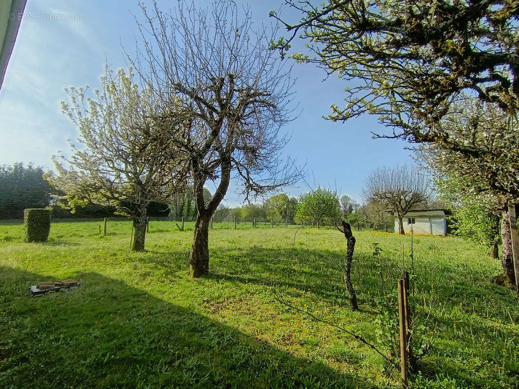 Maison à Seilhac en Corrèze - photo 9