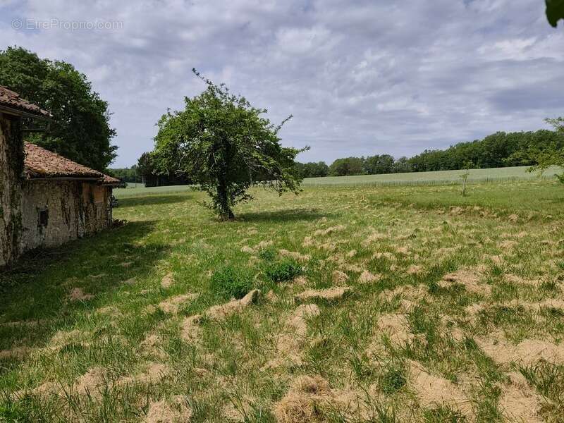 Grange à vendre 1 pièces VARAIGNES (24) - photo 16