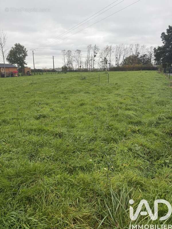 Photo 3 - Terrain à BOURBON-LANCY