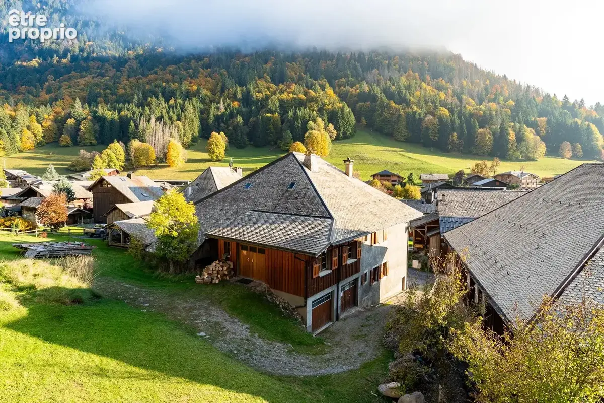 MORZINE - Ferme mitoyenne - photo 16