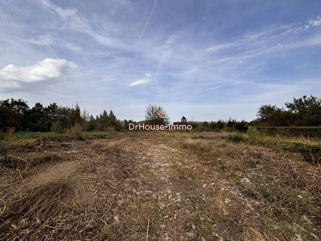 Terrain à PRESEAU