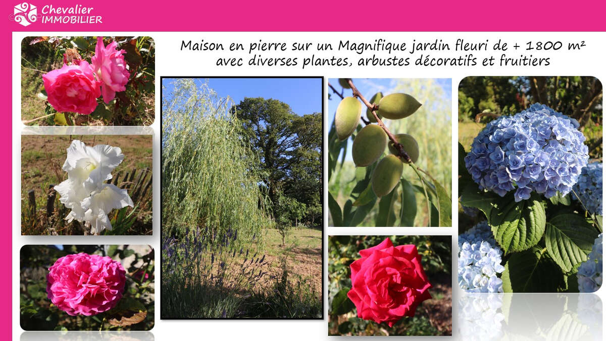 Maison à SAINT-NOLFF