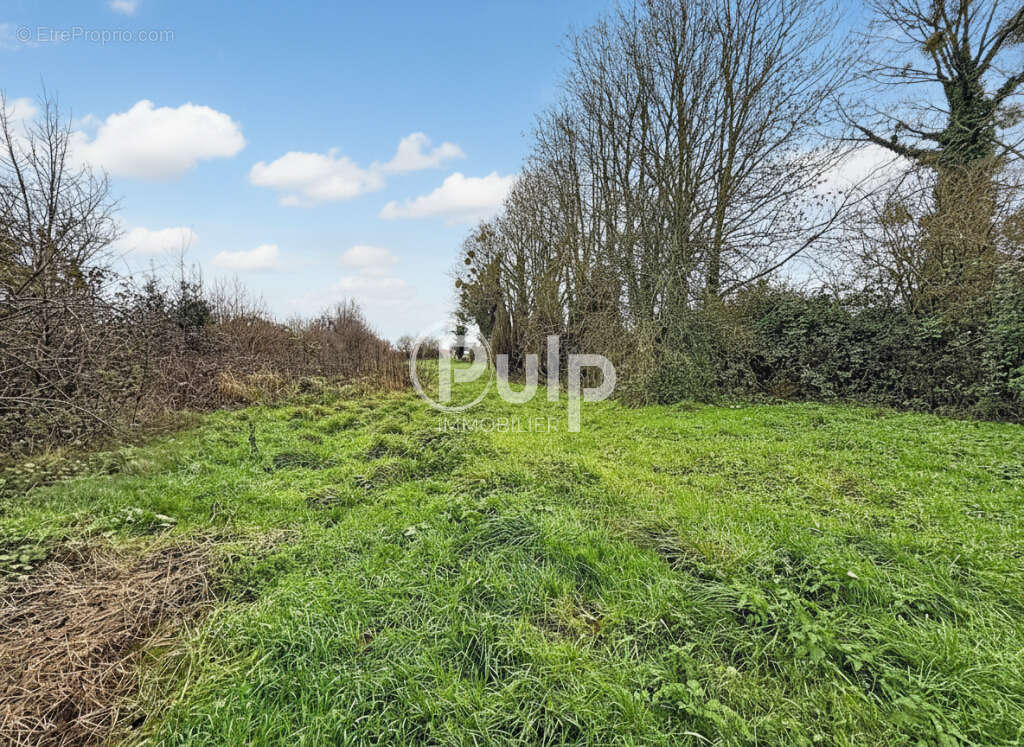 Maison à LE QUESNOY-EN-ARTOIS