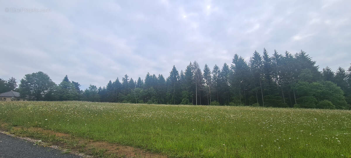 Terrain Constructible entre Brive et Tulle - photo 5