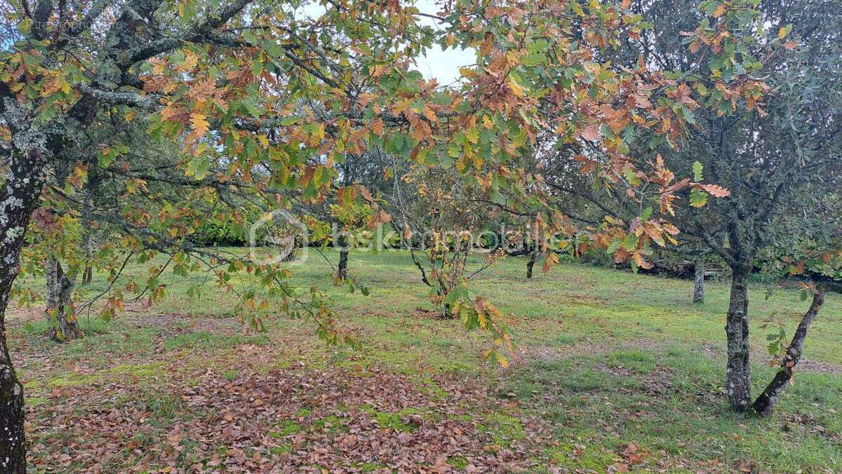 Maison à LEGUILLAC-DE-L&#039;AUCHE