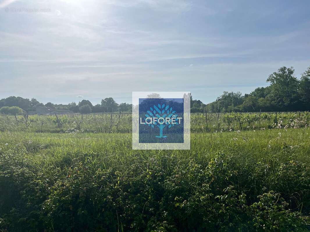 Terrain à SAINT-PAUL