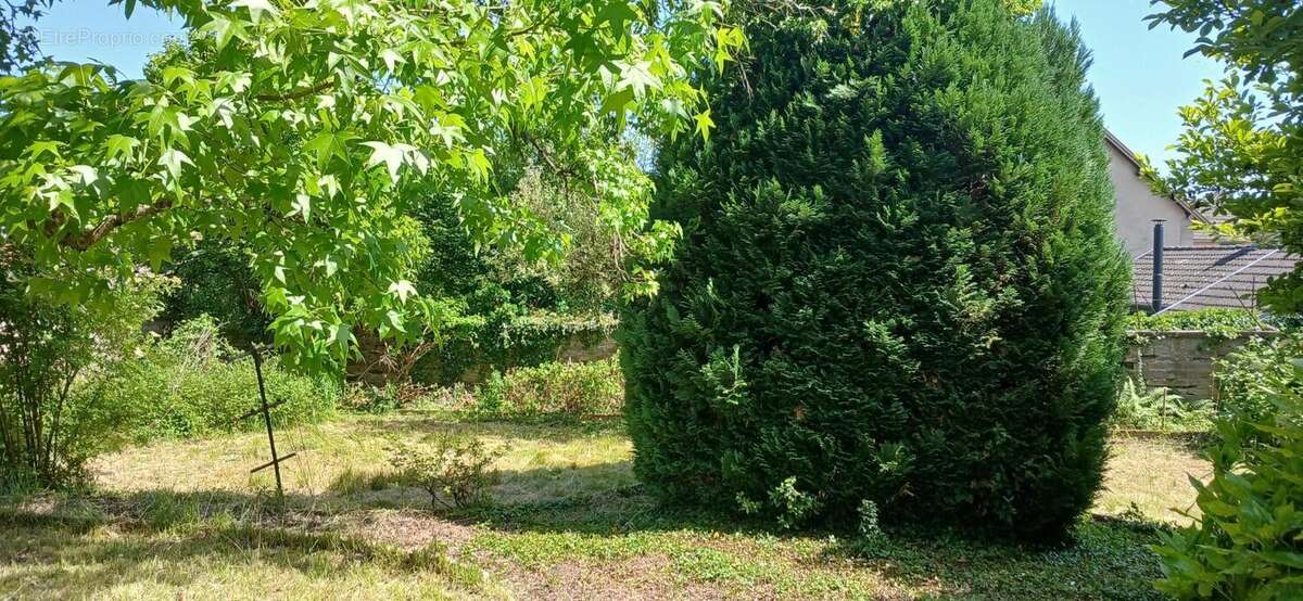 Le patrimoine devient projet de vie - photo 6
