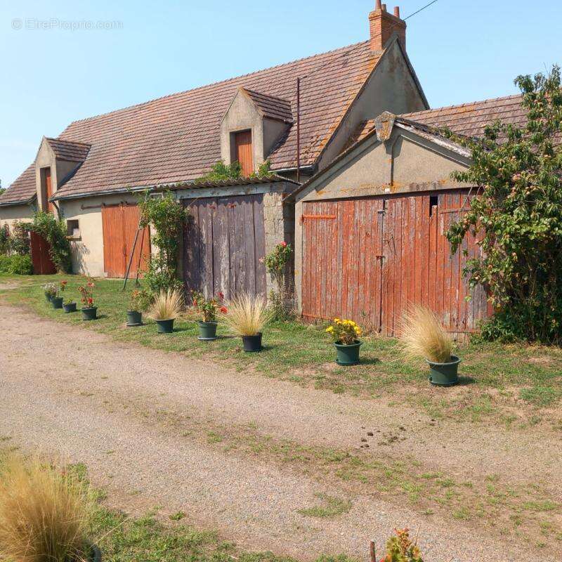 Maison à SAINT-PERE-SUR-LOIRE