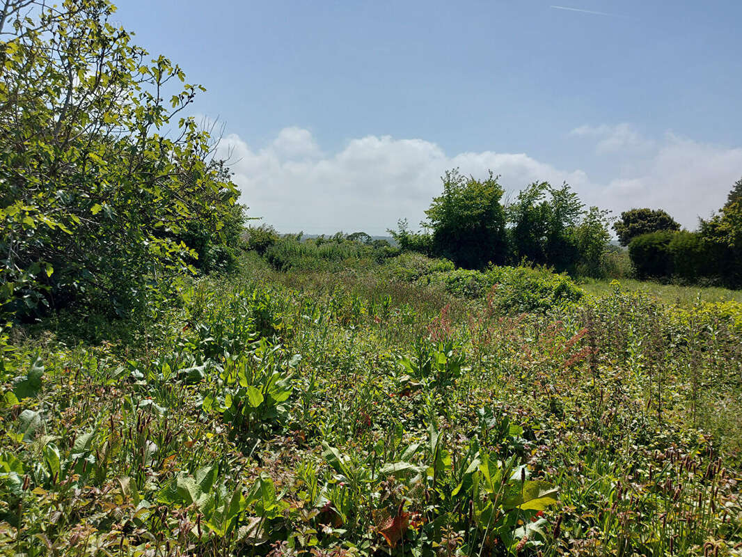 Terrain à COSQUEVILLE