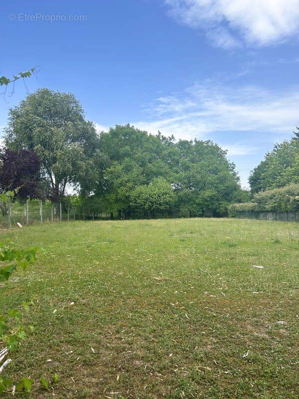 Terrain à bâtir - photo 3